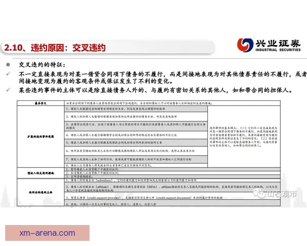 熊猫体育是真的吗平台安全性与合法性全面解析指南及风险提示建议