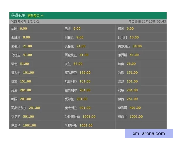 世界杯高赔率竞猜平台推荐让你轻松赢取丰厚奖金秘籍